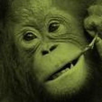 espen-brunborg 頭像