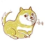 doge_king 頭像