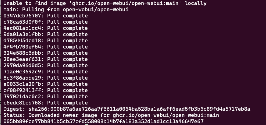 終端執行 Docker 命令後的截圖，顯示一串容器 ID 意味着啓動成功