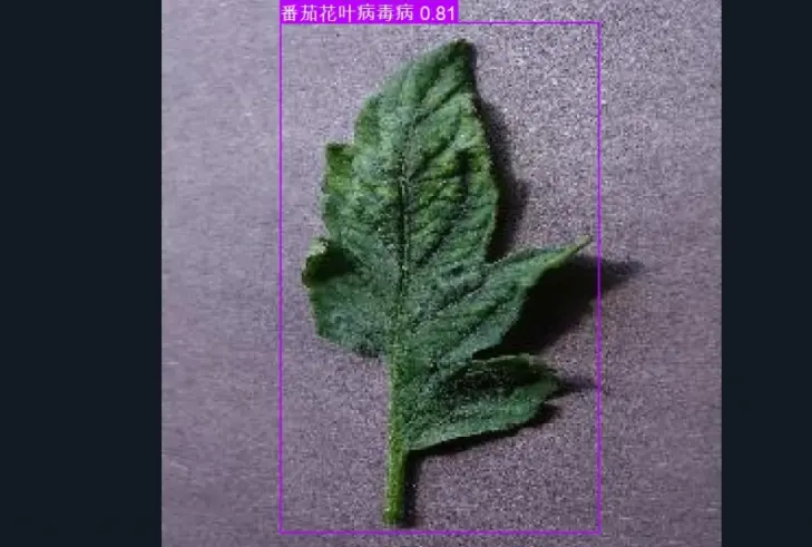 image-20251107205814529