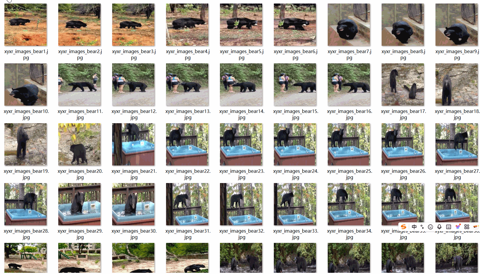 【動物】熊數據集2983張VOC+YOLO格式_txt文件_02