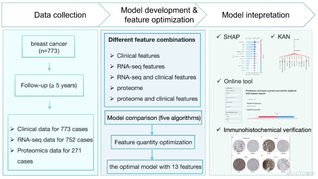 iMetaMed | 温附一夏二傑組-預測乳腺癌5年生存率-可解釋機器學習模型_#機器學習_03