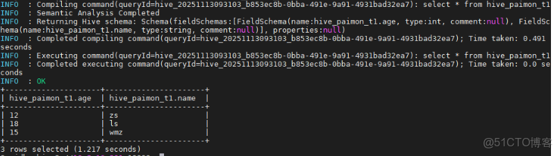 新一代數據湖存儲技術Apache Paimon入門Demo_Leonardo_hive_10