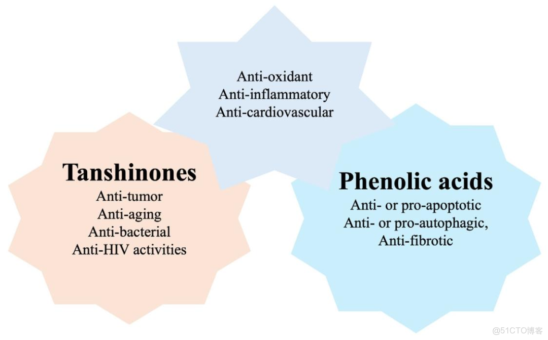 [精讀]Plant J. ||西北農林麻鵬達教授團隊聯合楊子鬆教授：闡述丹蔘中丹蔘酮和酚酸的生物合成及調控機制_HPL_04