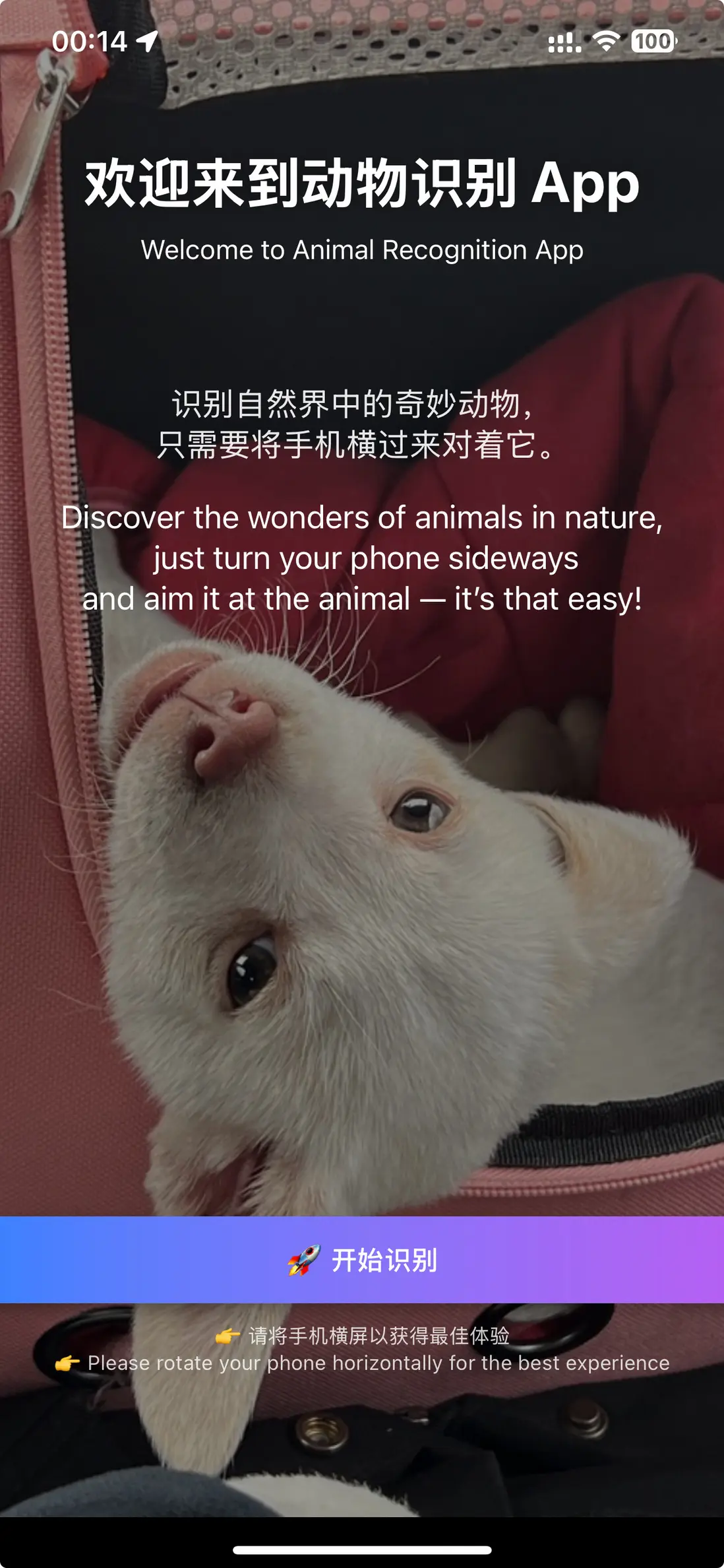 app Welcome small.jpeg