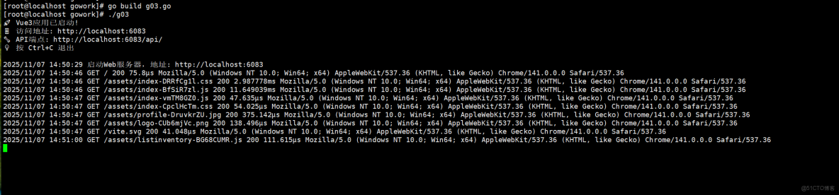 Go語言Embed把vue3編寫的前端內嵌到Go的程序中去_html_10