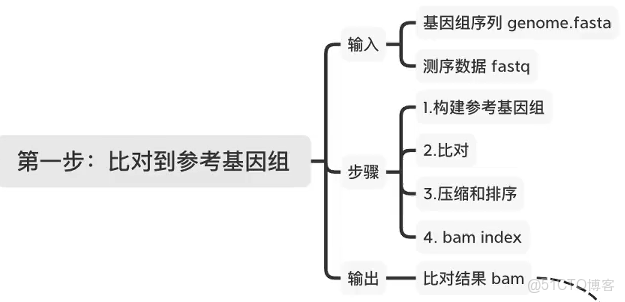 轉錄組分析 | 使用STAR進行比對_perl