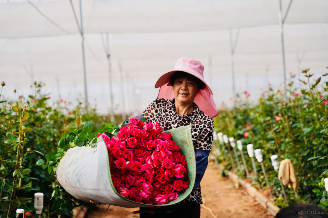 千億向新，拼多多的增長新路徑_商業