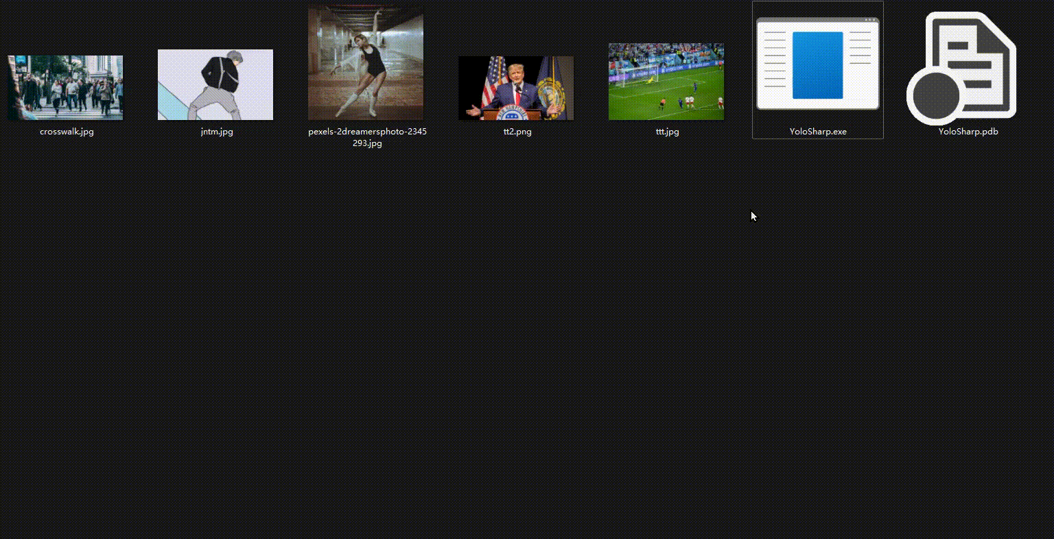 C#人臉識別入門篇-STEP BY STEP人臉識別—靜態照片人臉檢測 - feishixin的個人空間 -_#YOLO_02