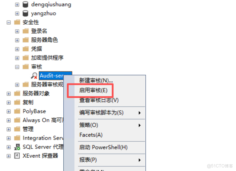 SQLServer 審計（默認，圖形）_表名_03
