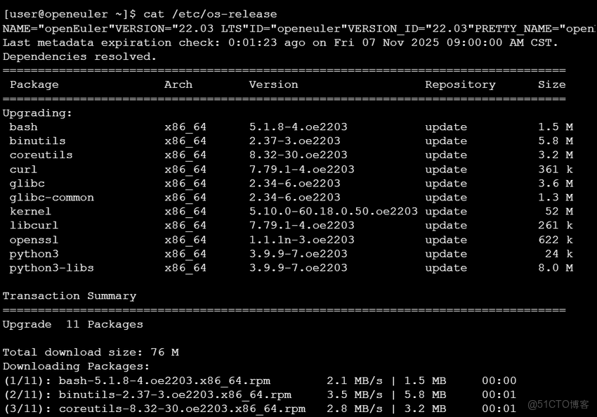 在openEuler操作系統基礎上實現機器學習開發以及openEuler優勢分析_數據_02