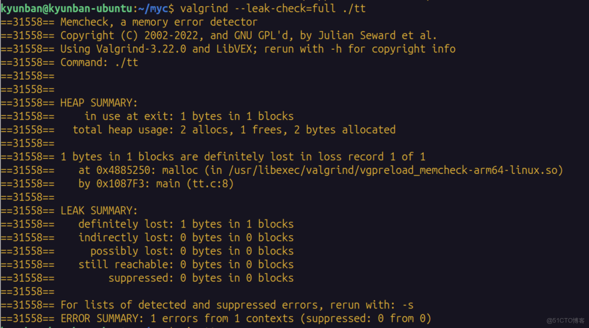 使用Valgrind檢測內存問題（C語言）_數組_03
