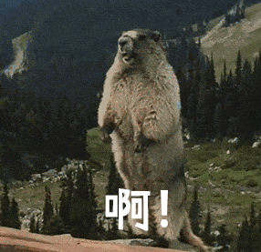 一句話，AI自動生成視頻，炸穿！_人工智能