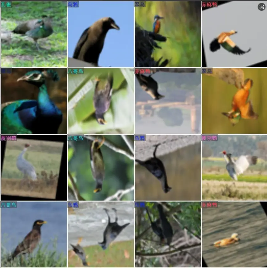 在這裏插入圖片描述