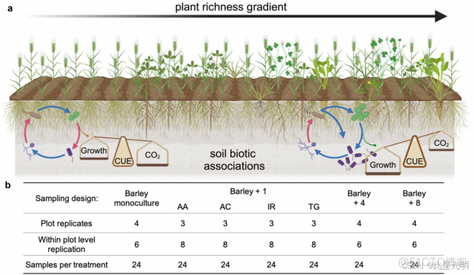LBA-ECO ND-08 土壤呼吸、土壤組分、碳和氮，巴西帕拉州_#數據挖掘