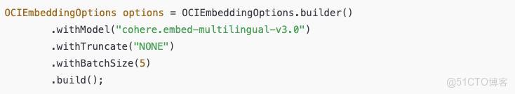OCI GenAI + Spring AI = 向量檢索的最強組合，你準備好了嗎？_ci_06