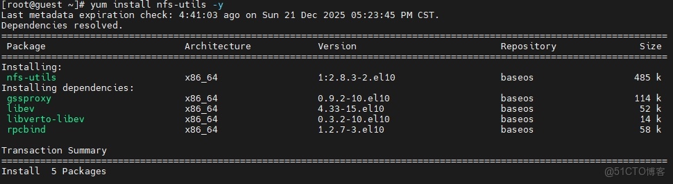 CentOS-Stream-10 搭建NFS網絡文件系統服務器_NFS服務器_17