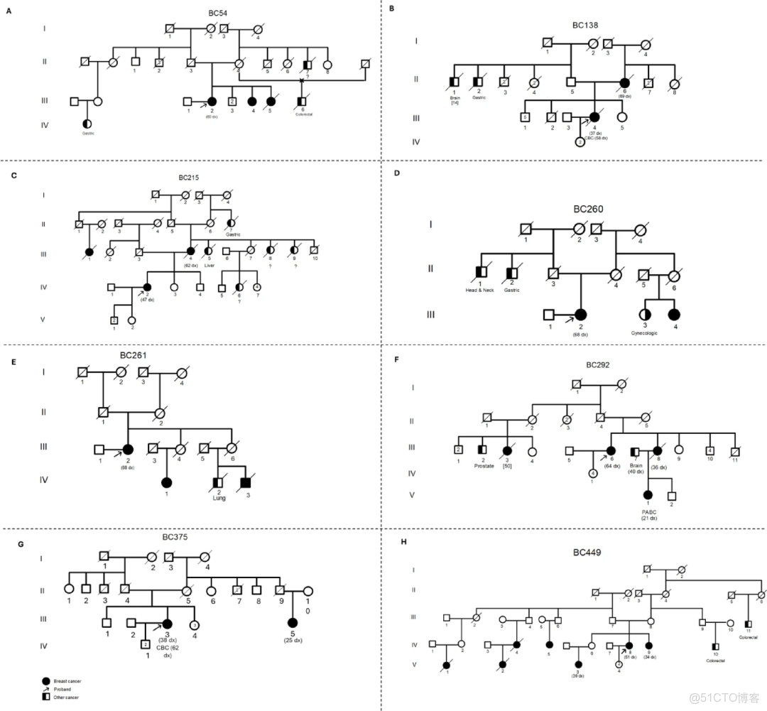 遺傳病、罕見病、腫瘤、家系最新文獻目錄 2025/04/19~11/25 全96篇_ci_07