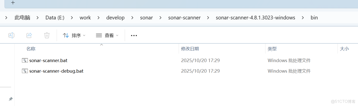 SonarQube 本地搭建及使用小結_#SonarScanner_10