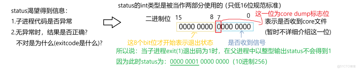 [Linux]進程控制精要_exec系列函數_08