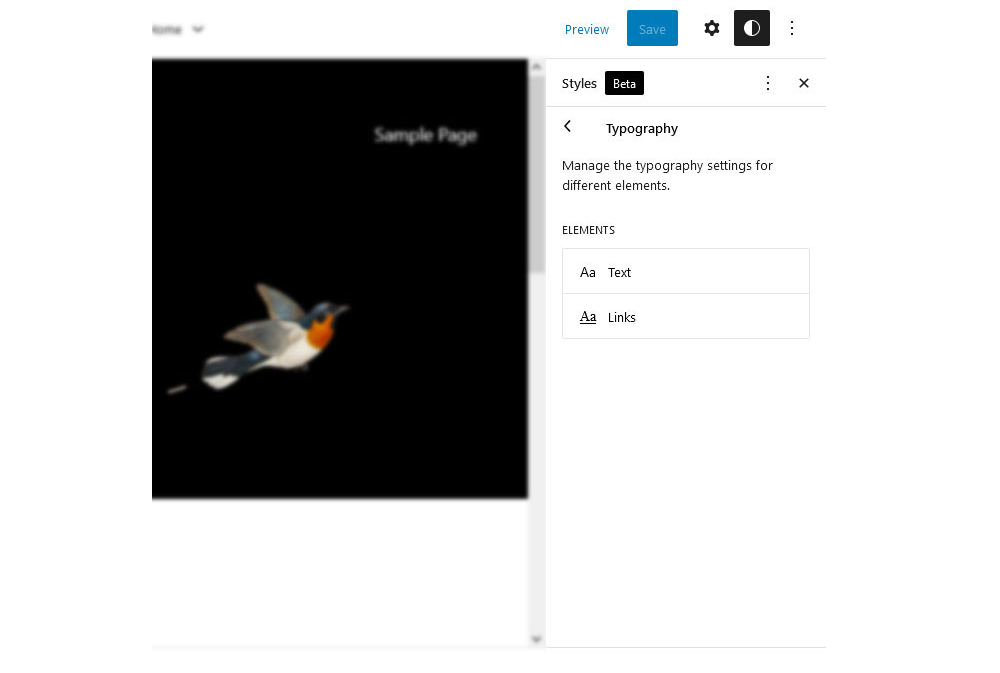 A screenshot of WordPress Full-Site Editing typography