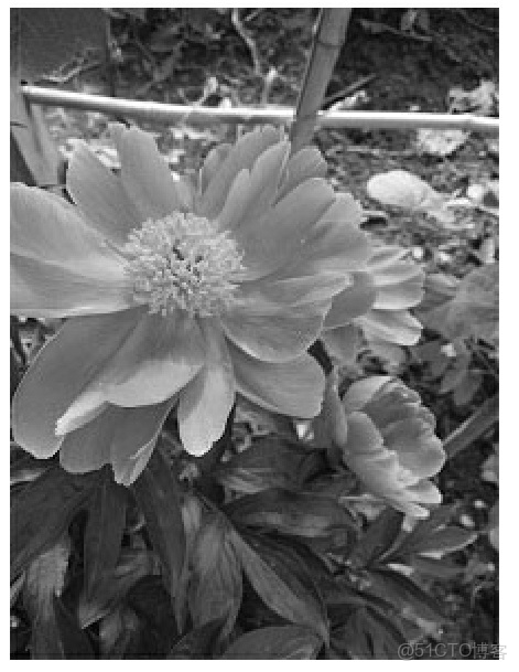 Python 數據科學入門教程：OpenCV_#計算機視覺_62