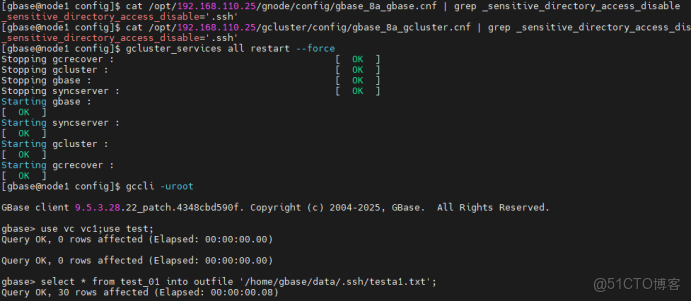 南大通用GBase 8a_SENSITIVE_DIRECTORY_ACCESS_DISABLE 參數介紹_文件名_19