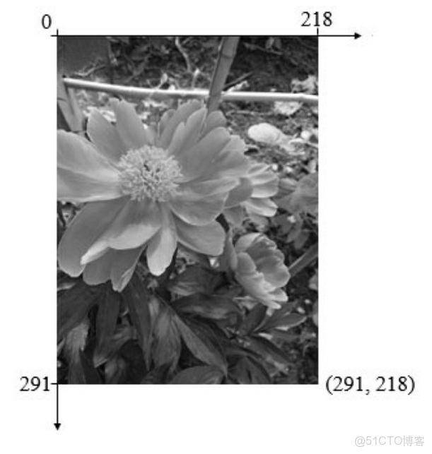 Python 數據科學入門教程：OpenCV_#視覺項目_17