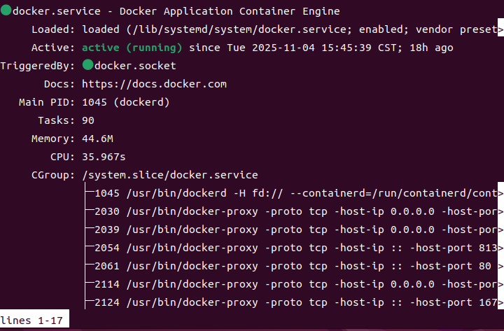 Ubuntu系統使用Docker安裝openGauss數據庫完整教程_docker_05