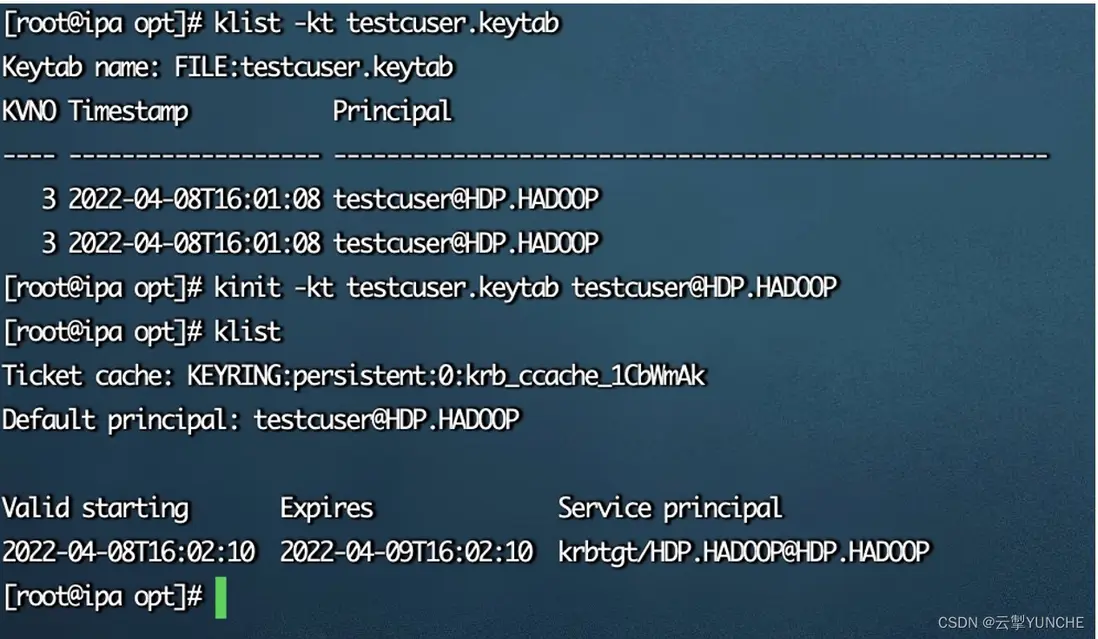 在這裏插入圖片描述