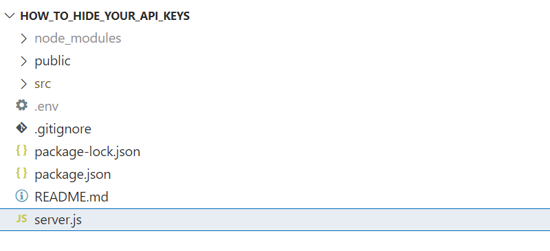 A screenshot with a highlighted server.js file in the project root directory