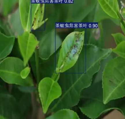 在這裏插入圖片描述