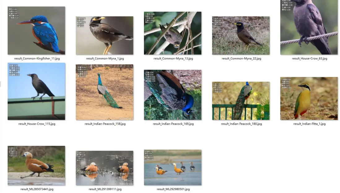 在這裏插入圖片描述