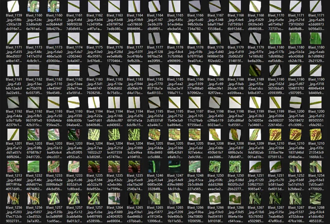 在這裏插入圖片描述