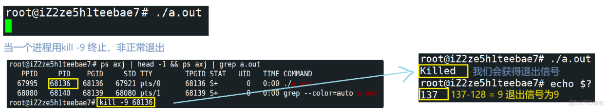 [Linux]進程控制精要_exec系列函數_05