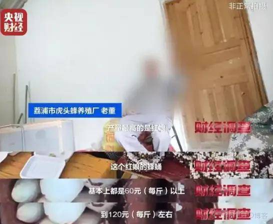 上游6666元教養殖，下游變神藥治百病！殺人蜂騙局兩頭割……_社交媒體_09