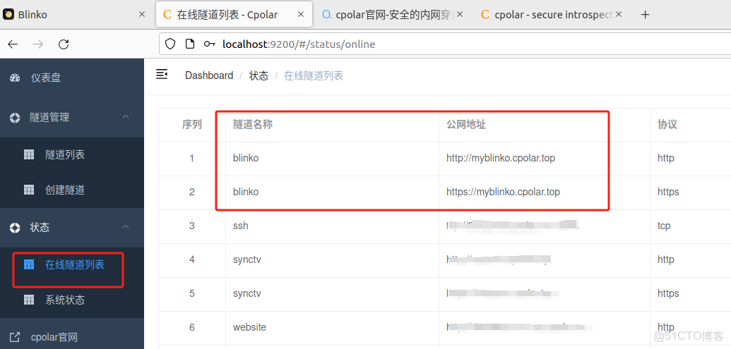 完整教程：告別筆記侷限！Blinko+cpolar讓AI筆記隨時隨地可用_二級_20