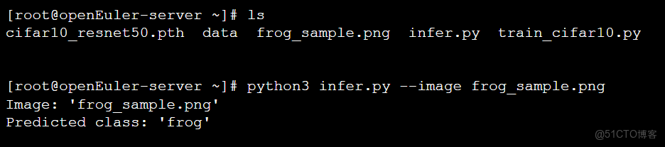 基於openEuler操作系統上的AI圖像分類應用開發實操與測試_數據集_09