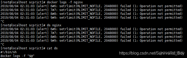 linux yarn配置全局路徑_Shell_05
