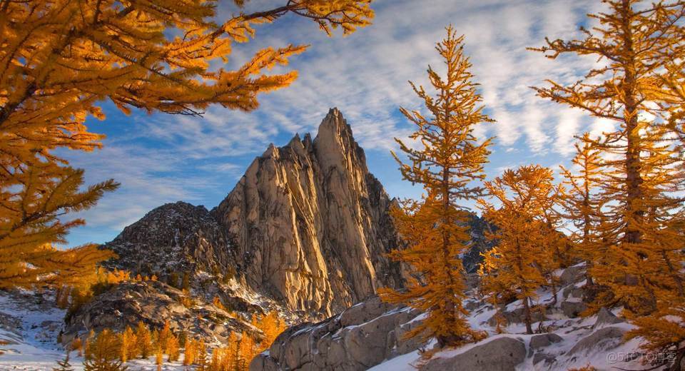 深度學習 分類標籤噪聲比較大 分類標籤的作用_參考資料