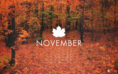 Smashing Wallpaper - november 11