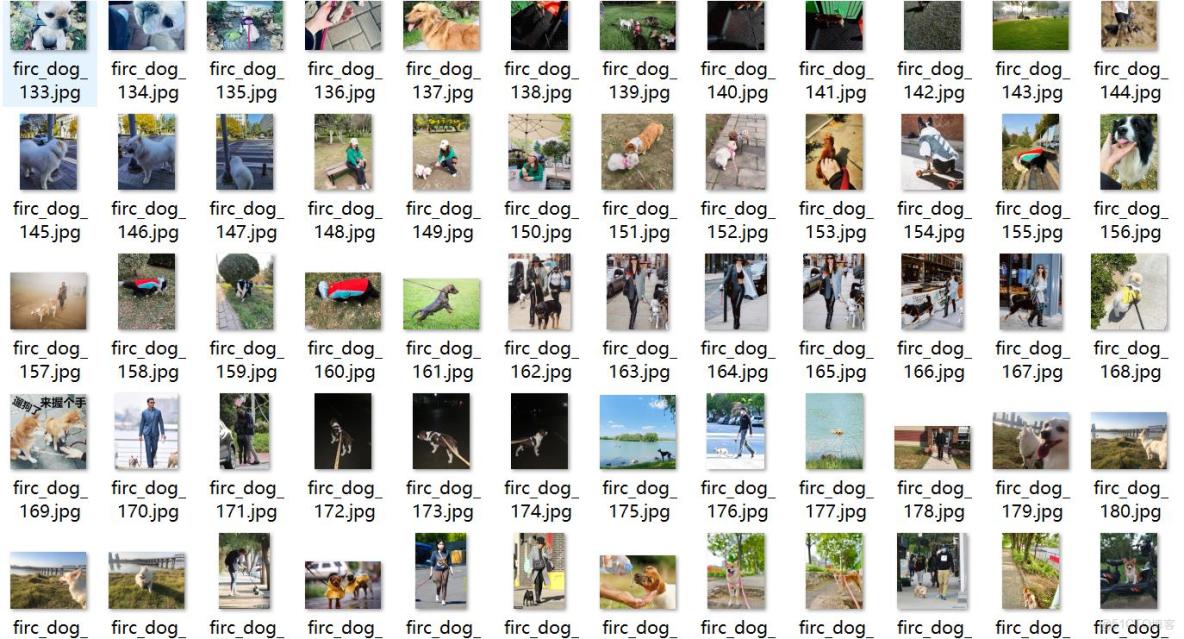 遛狗不牽繩檢測數據集VOC+YOLO格式1980張5類別_xml文件