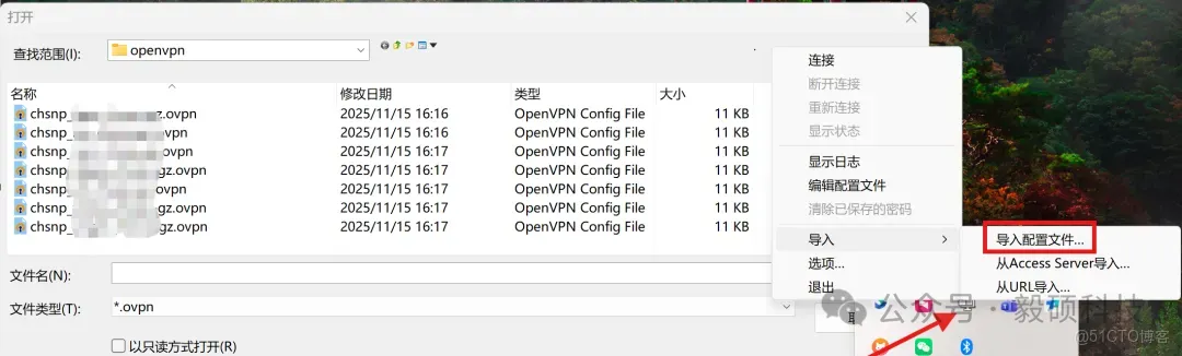 毅碩HPC | Pritunl + ECS + Frp 搭建遠程辦公VPN_pritunl_09