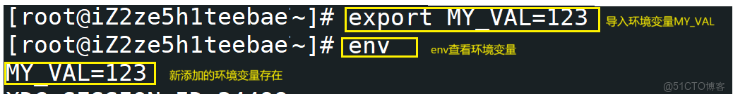 [Linux]為什麼你的程序找不到路徑?答案藏在環境變量中_本地變量_09