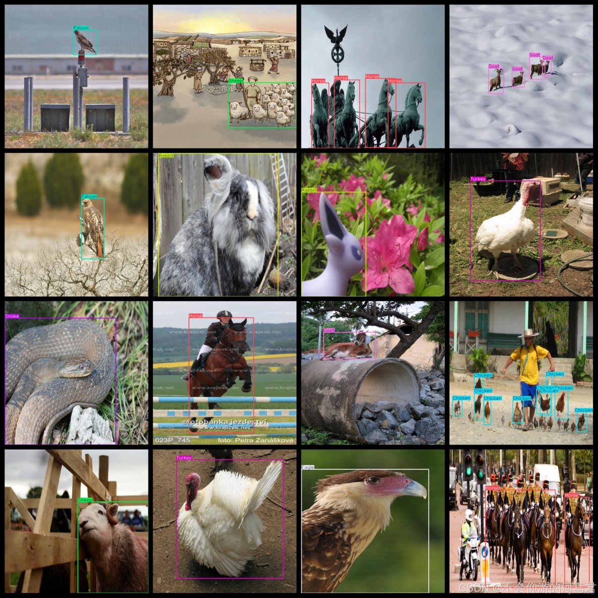 12種動物數據集5527張VOC+YOLO_Falcon