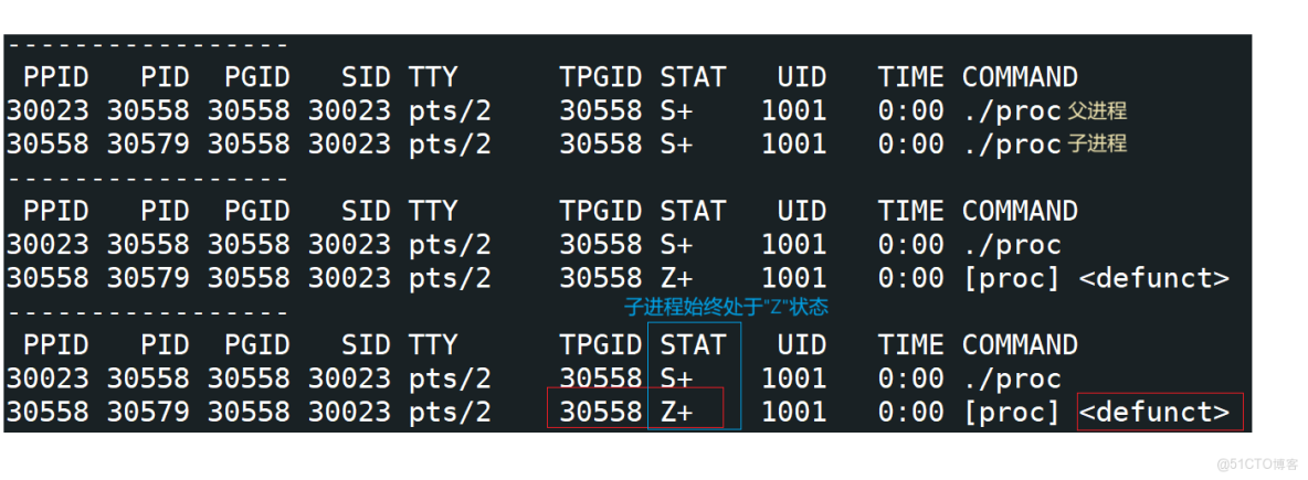 [Linux]探索進程的奧秘：從硬件到軟件的全面解析_進程概念_16