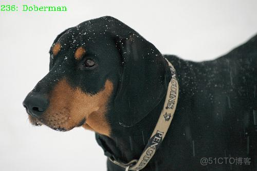 自研AI框架升思MindSpore數據變換：Transforms_Yeats_#transformer_08