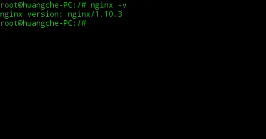 查看nginx安裝情況