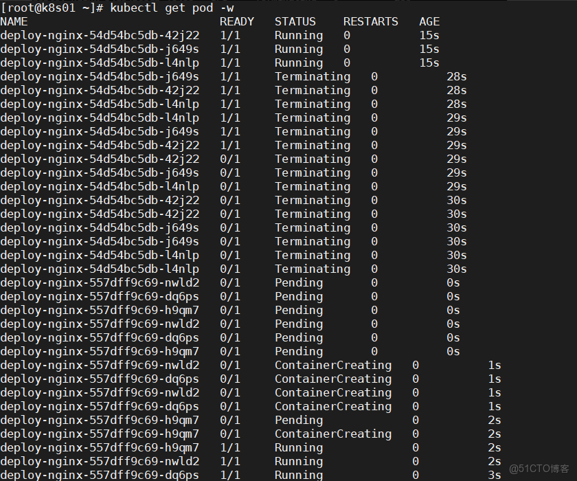 K8s控制器Deployment(補充)_nginx_09
