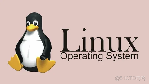 【Linux系列】統計目錄下文件個數_隱藏文件